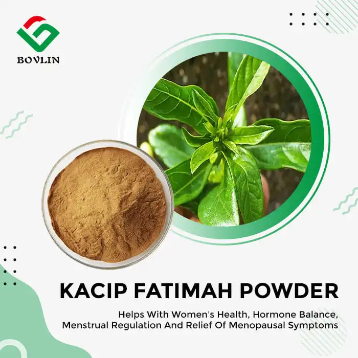 Kacip Fatimah Extract